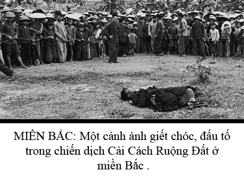 Cai Cach Ruong Dat