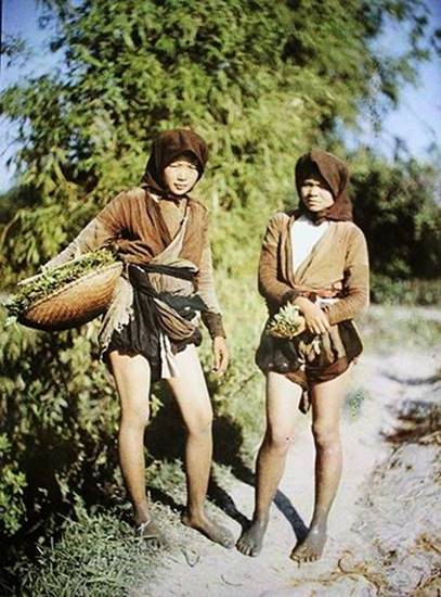 Việt Nam, Bài chọn lọc, ảnh chụp, 100 năm, 