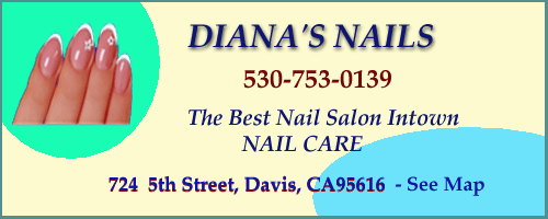  Diana's Nails 530 753 0139